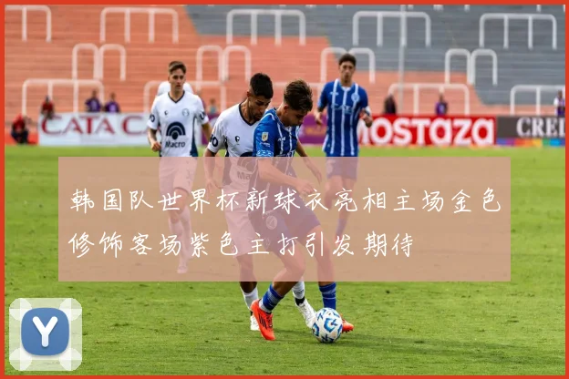 韩国队世界杯新球衣亮相主场金色修饰客场紫色主打引发期待